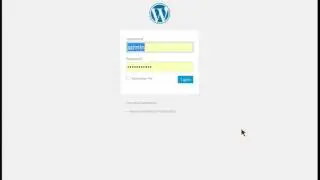 Wordpress basics and logging in