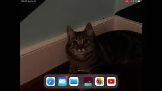 How to get creator studio IOS no download
