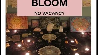 BLOOM. no vacancy, burlington by Juliana LaChance and Molly Kubes.