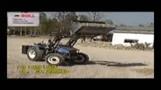 bull4 - Bellstone Online