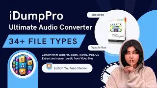 iDumpPro &ndash; Multi-Source Audio Conversion