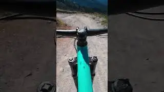 Leogang Bike Park #mtb #trails #bikepark #enduro #downhill #mountainbike #kidsonbikes