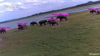 L Samaranayake IROS2020 Workshop - Elephant Train Collision Prevention System