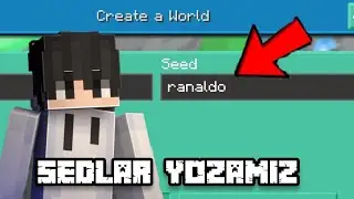 Daxshadli sedlar Minecraft