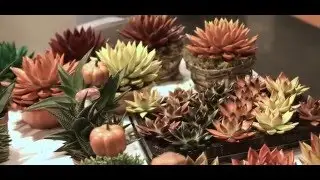 Flormart Padova
