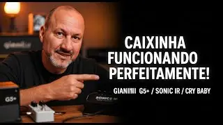 Giannini G5+ Amplifier, Cry Baby and Sonic IR