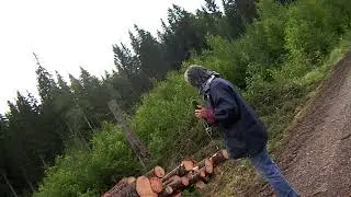 Avverkning i Augusti