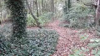 UK - The watcher in the woods UK cryptid ????