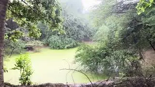 Mathura Jungle with @sauravsinghchahar6503  🥰