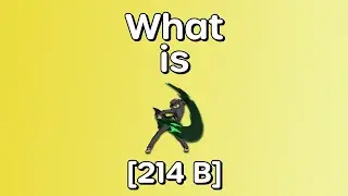 What is 