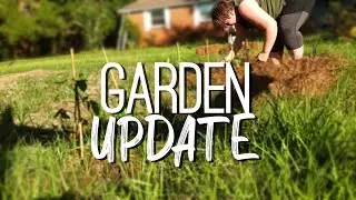 Garden Work & Goat Treats | Fall Garden 2019