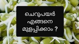 How to sprout green gram, moong | Kerala Recipes