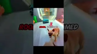 #большойпарень