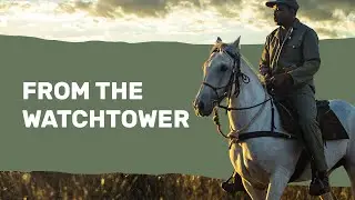 From The Watchtower: The Story of Rockwood's Rangers