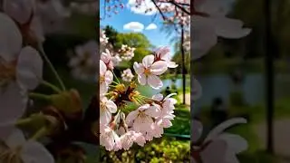 the beauty of nature 🌸💮.... #animation #3danimation #spring  #flowers #shorts #viralvideo