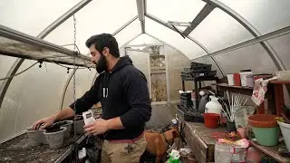 Why I Start Onion Seeds in January