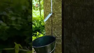 Rubber Nikalane Ka Natural Tarika | |Fact 2FACT#shorts