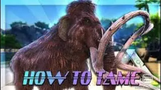 Taming Mammoth | for collecting Wood | Ark survival evolved gameplay