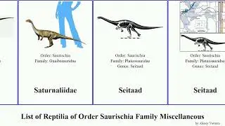 List of Reptilia of Order Saurischia Family Miscellaneous borealis Unaysaurus Plateosaurus Jams