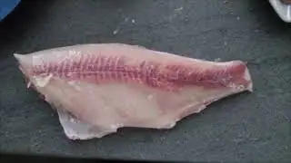 Dead meat still moving (Compilation)