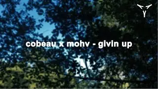 cobeau x mohv - givin up [lyric video]