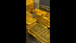 Timeless Treasure: The Everlasting Appeal of Gold