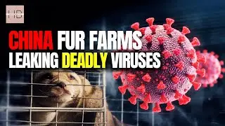 China&rsquo;s Fur Farms Are a Viral Time Bomb&mdash;New Coronavirus Found!
