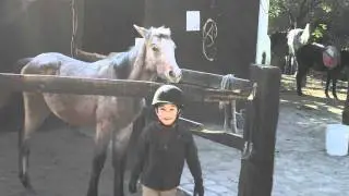CLIP0041