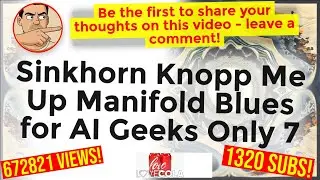 Sinkhorn Knopp Me Up Manifold Blues for AI Geeks Only 7