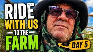 Chicken Gazebo Rebuild &ndash; Day 5 | Motorcycle Trip to the Farm, Center Post, and Bamboo Rafters