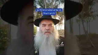 מה שורש הנפש הבהמית והאם יש לה דרגות כמו בנפש האלוקית? שאלה של ר' רונן מצפת, משיב הרב ירון צבי