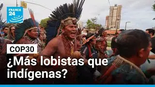 COP30: ¿Más lobistas que representantes indígenas? • FRANCE 24 Español