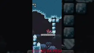 Akogare Mario World, Fase 5