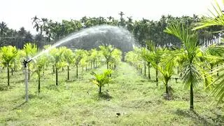 KRISHI Plastic Raingun Sprinkler
