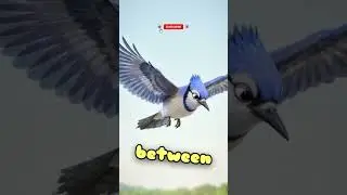 Bird vs Snake vs AI: Who Survives?
