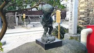 KuKu KuKu - Birds Singing 🐦🕊️🦜🦚 Kushida Shrine, Fukuoga ⛩️