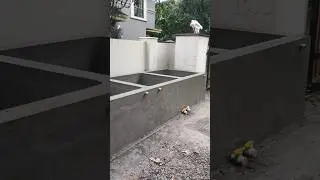 cement tank making| Guppy tank making