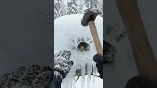 I help rescue them by breaking this Ice🧊❄️#ice #bird #protectingmother