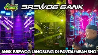 Salsabila BCD dan D&D Pro Audio Brewog Gank Mulai di Sruk 