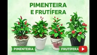 DE BISCUIT E E.V.A VEJA COMO CRIAR FRUTÍFERAS E PIMENTEIRA