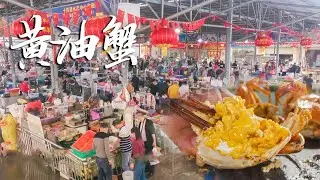 广东大叔养螃蟹24年，每天凌晨3点起床捕捞，凭借1500一只的黄油蟹，年入上千万！