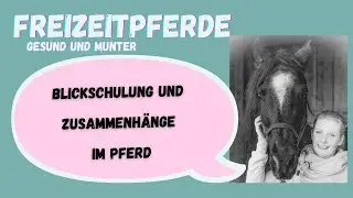 Blickschulung und Zusammenhänge vom Pferd