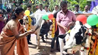 Sankranthi celebrations 2026 by Bandava Samste at LIC Colony Jayanagar in Bengaluru