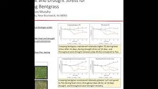 Differential physiological responses to heat/drought stress in annual bluegrass & creeping bentgrass