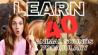 Let&rsquo;s learn vocabulary related to sounds of birds ,animals and insects | #englitube |must watch