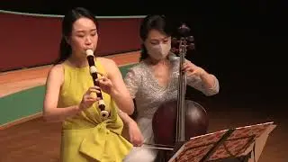D.N.Sarro - Concerto in D minor for recorder, strings and basso continuo