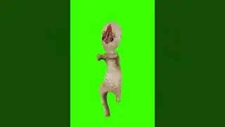 raid this kid because he disliked me