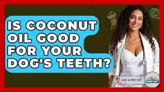 Is Coconut Oil Good For Your Dog's Teeth? - Ask A Pet Vet