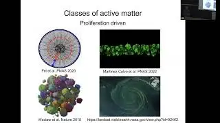 Colloquium Apr 13, 2023 - Capillary Attraction Underlies Bacterial Collective Dynamics