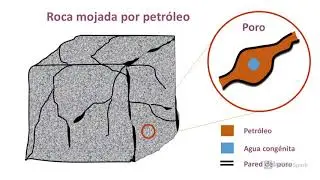 Mojabilidad y permeabilidades relativas